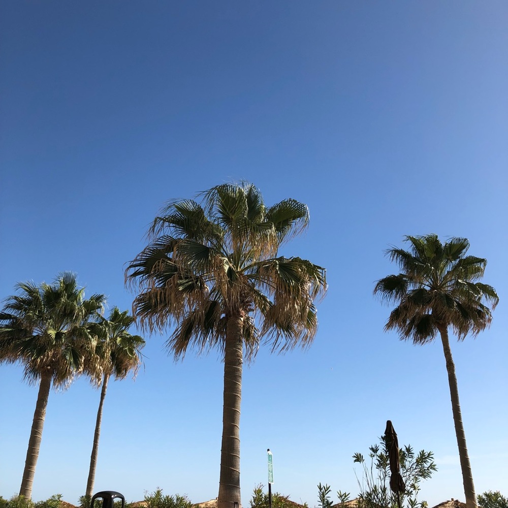 Meet your Posher, Suny